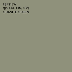 #8F917A - Granite Green Color Image